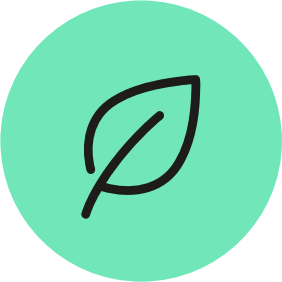 Leaf icon